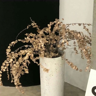 Furry绘画构图灵感FurryQQ群